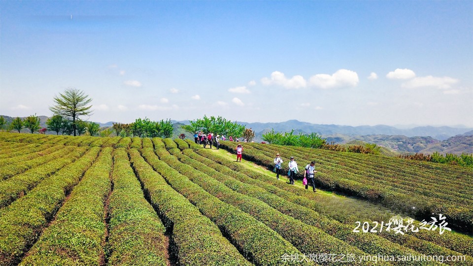 dji_0048-opq125717314