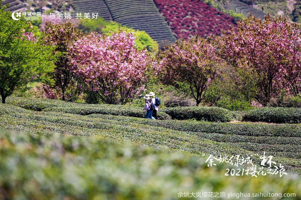 GN8A2449-opq125711404