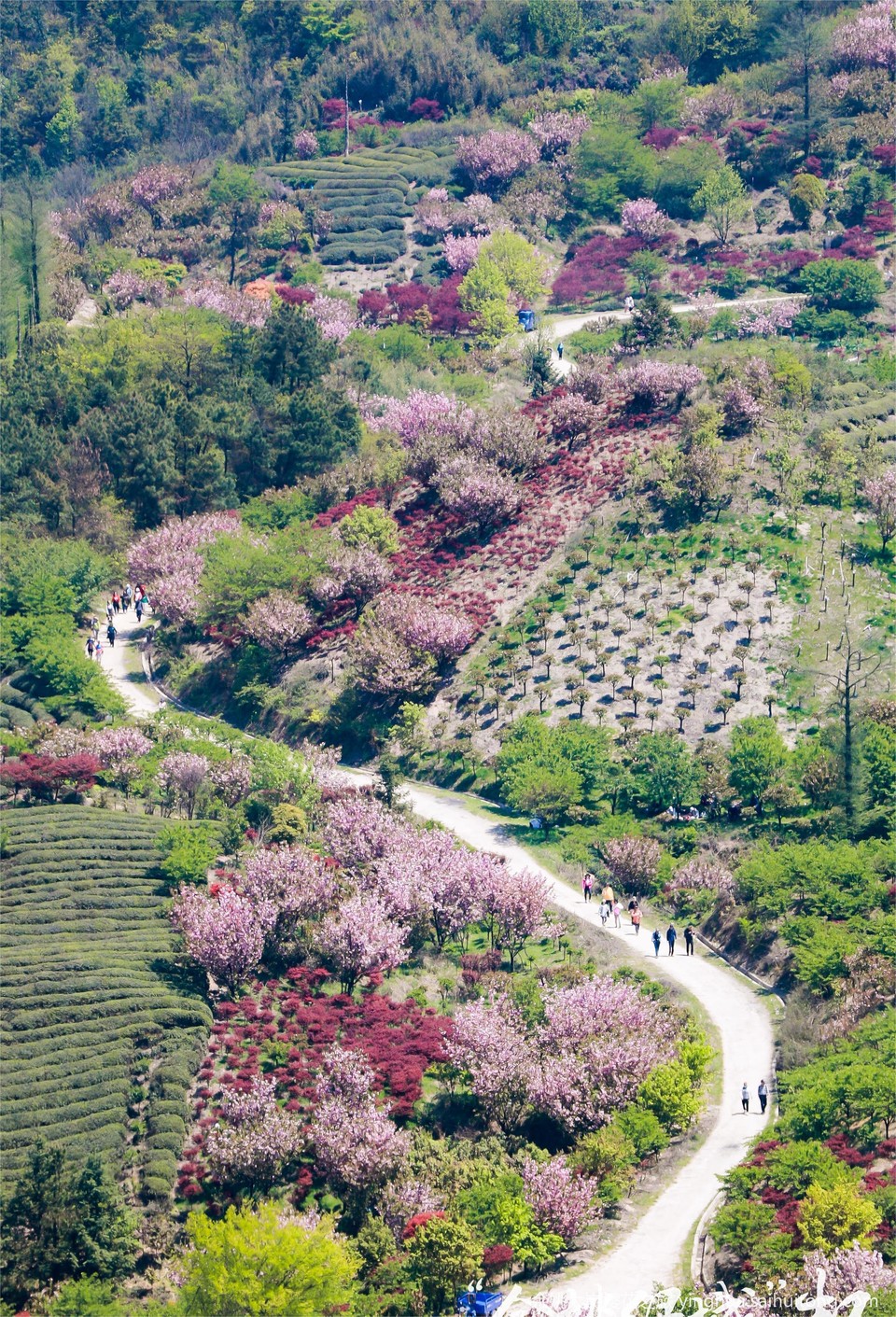 GN8A2457-opq125712158