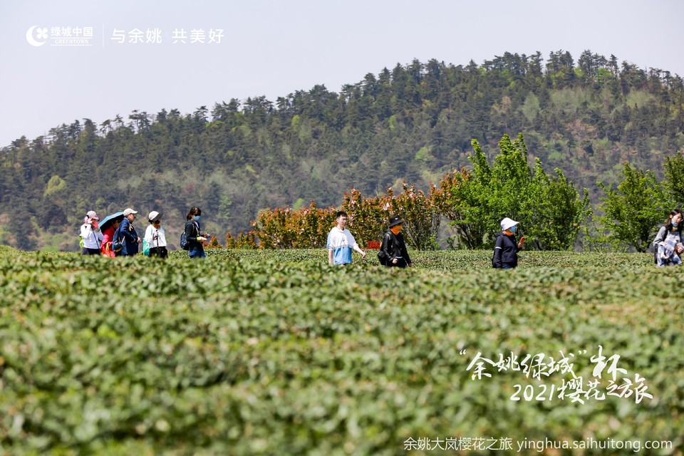 GN8A2471-opq125713887