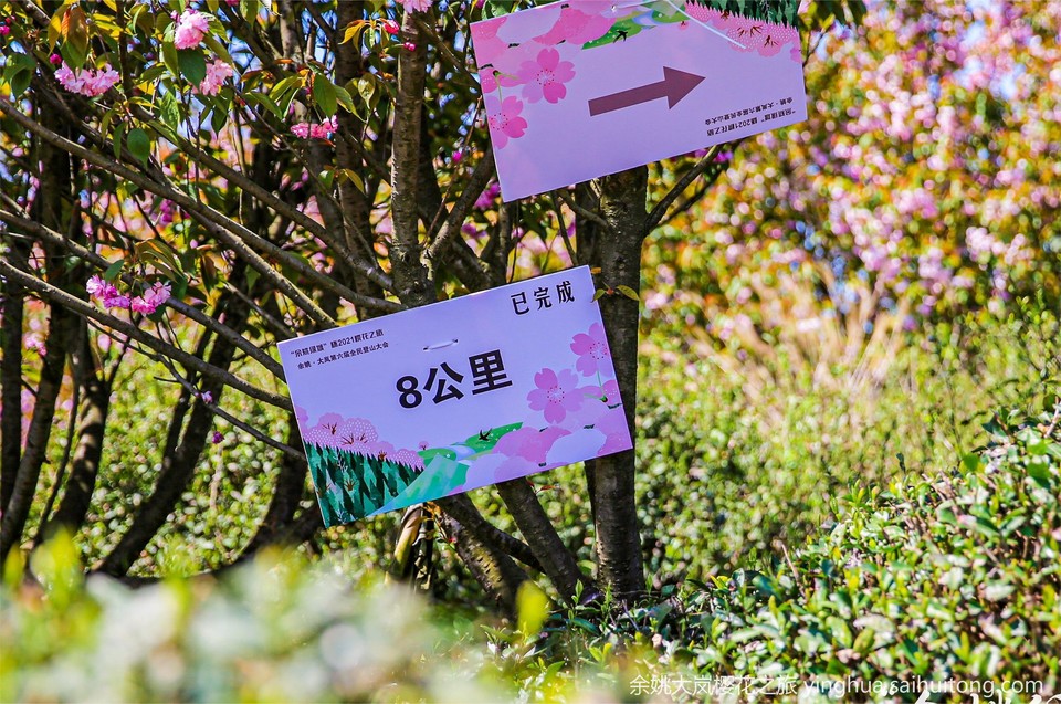 HWJ_1093-opq125658351