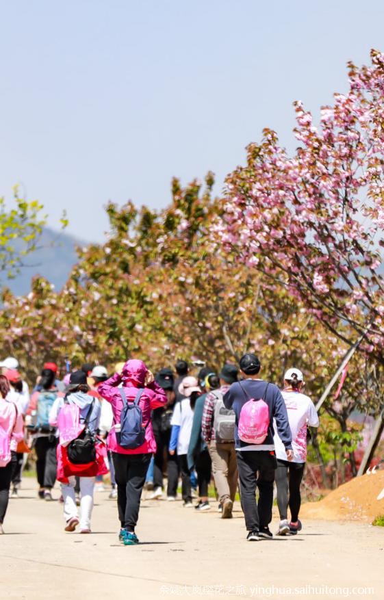 微信截图_20230323115019