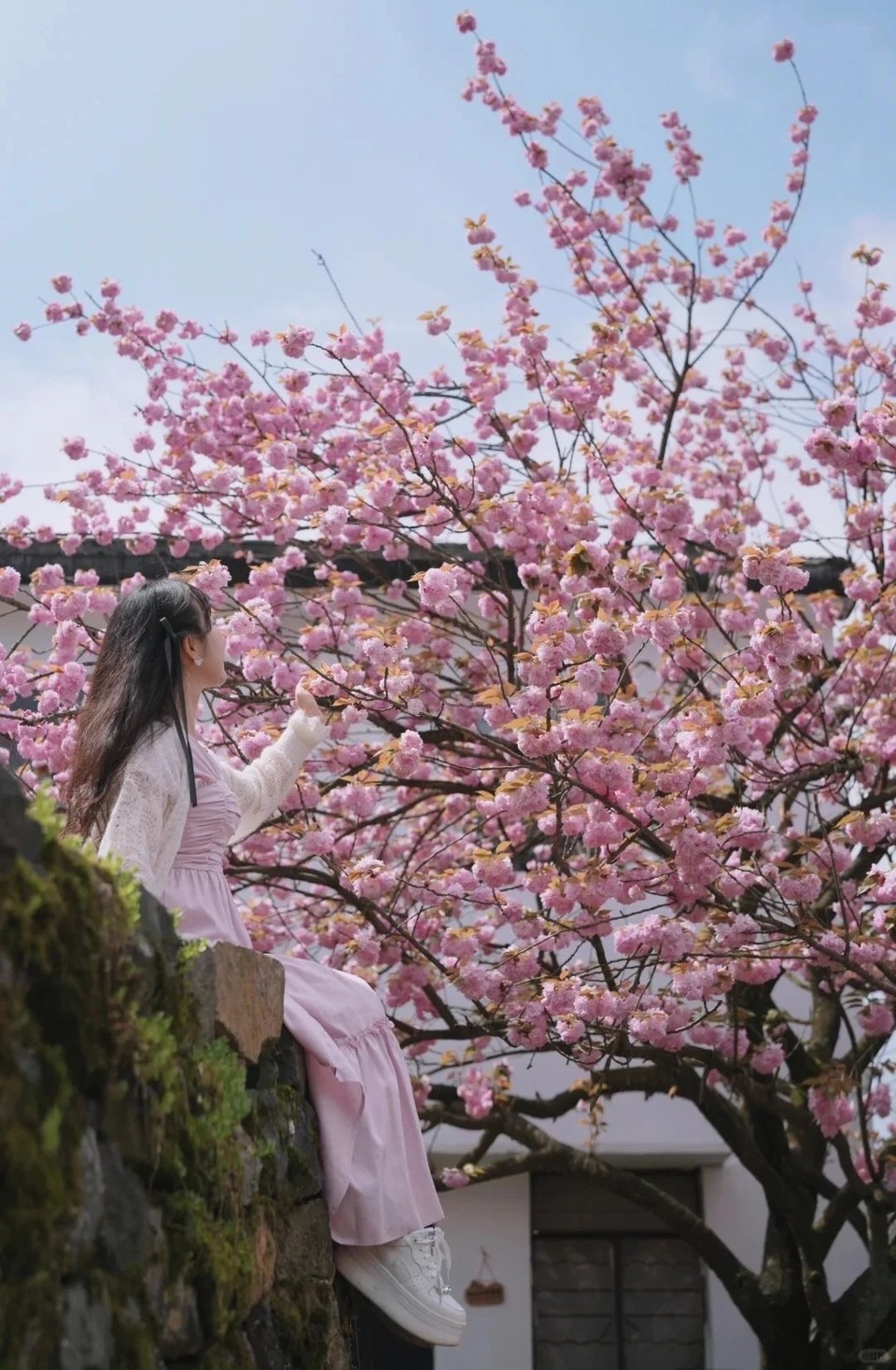 微信图片_20250326120313