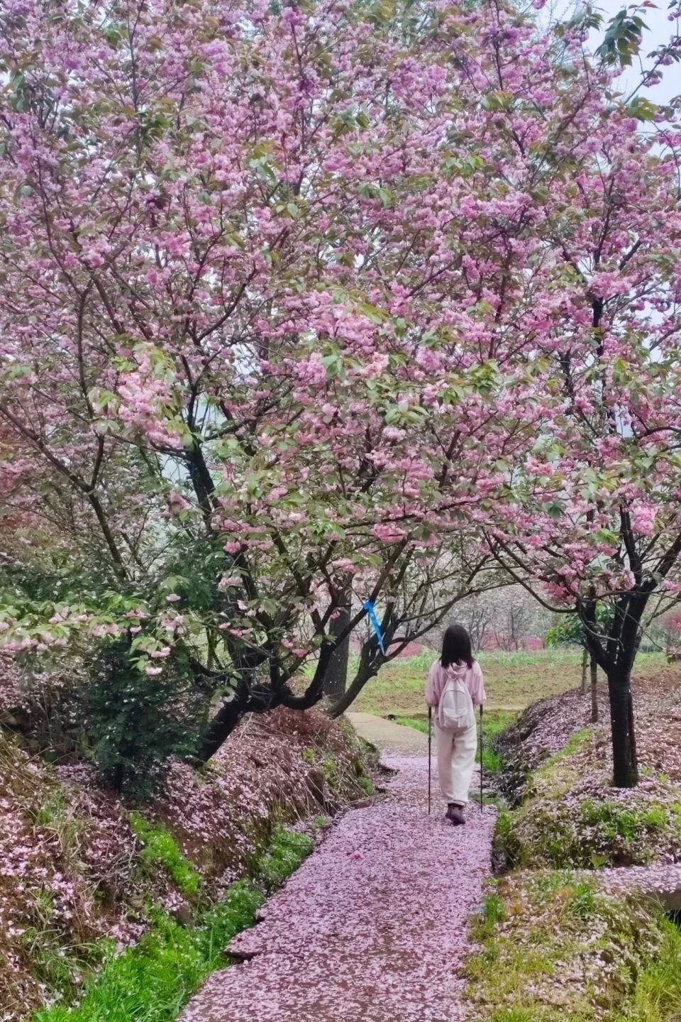 微信图片_20250326120334