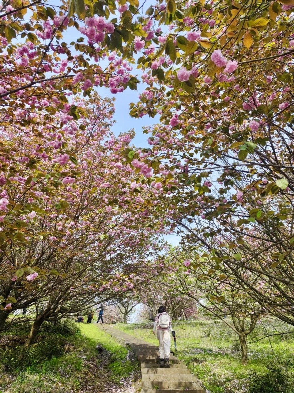 微信图片_20250326120340