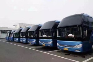 【补交】【往返接驳车】“春醒四明 樱花漫山”2025余姚·大岚第九届全民登山大会