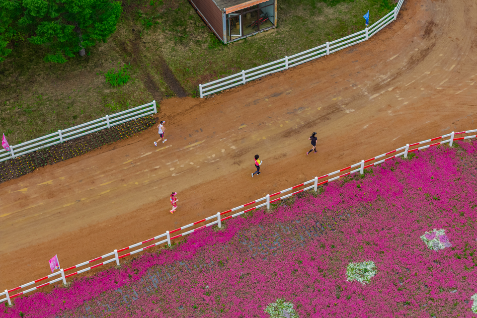 DJI_20250525112903_0083_D