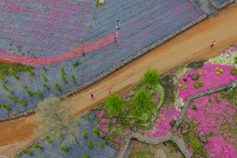 DJI_20250525114325_0113_D