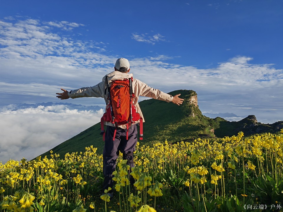 微信图片_2025-07-20_171445_398