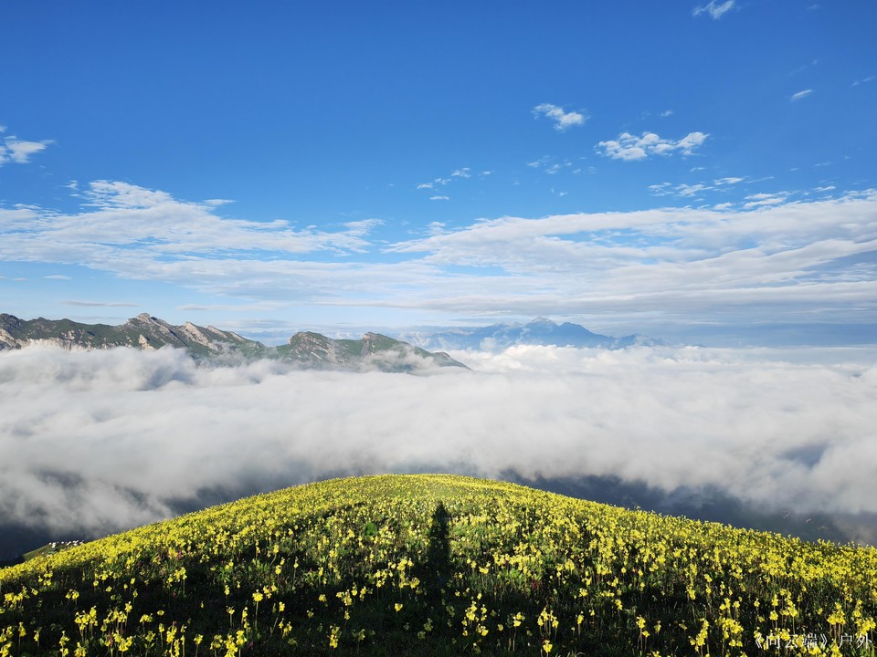 微信图片_2025-07-20_171452_495