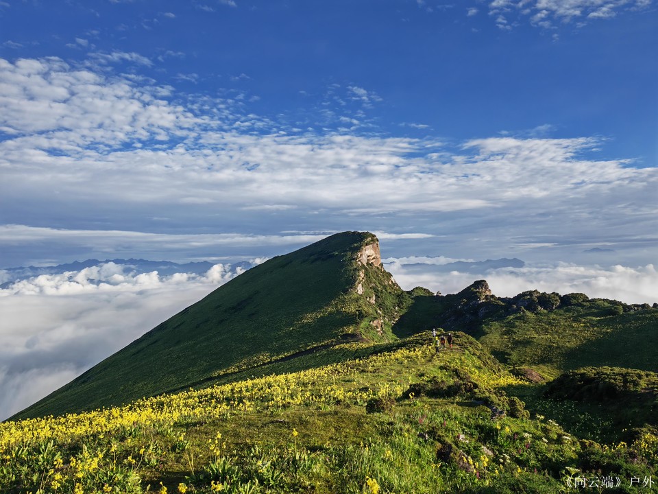 微信图片_2025-07-20_171458_155