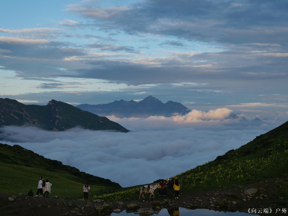 微信图片_2025-07-20_171534_418