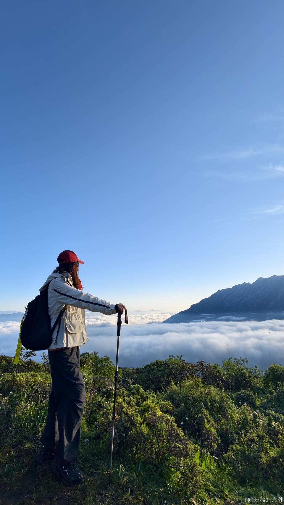 mmexport1752095989312