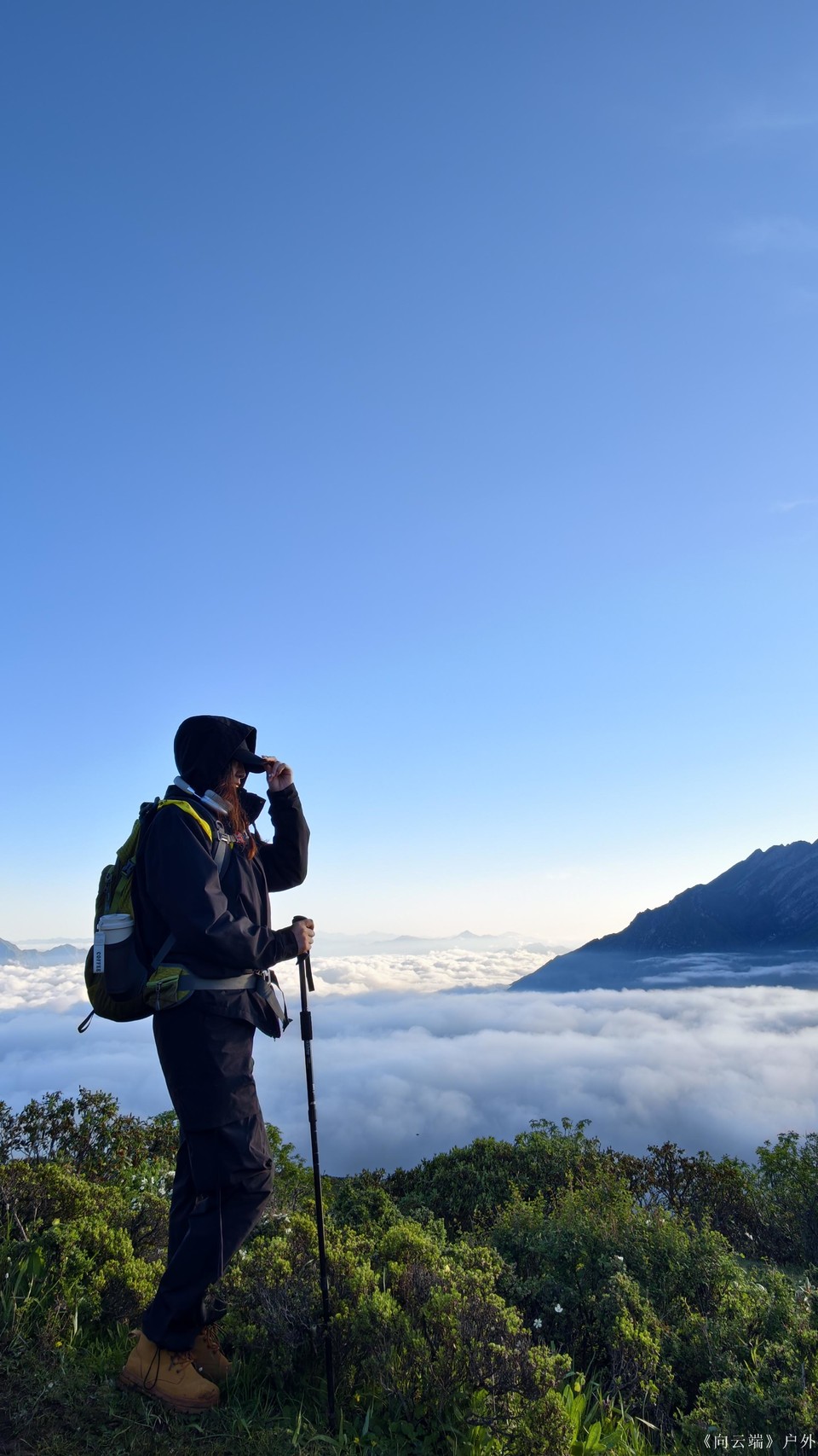 mmexport1752096049496