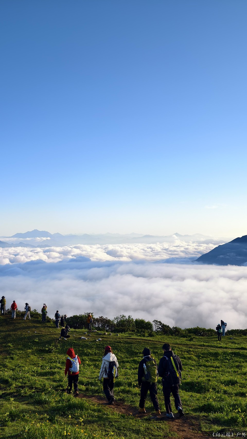 mmexport1752096057043