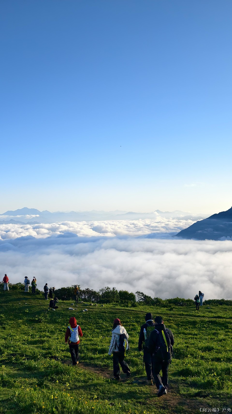 mmexport1752096070513