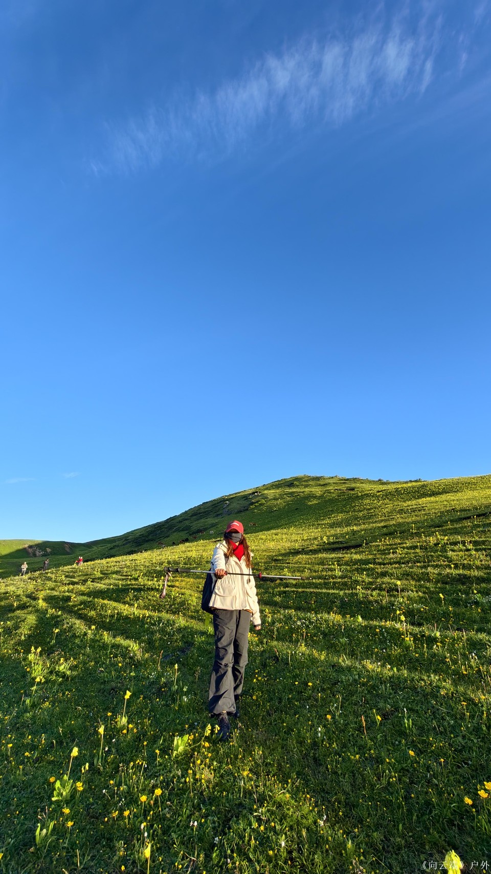 mmexport1752096174930