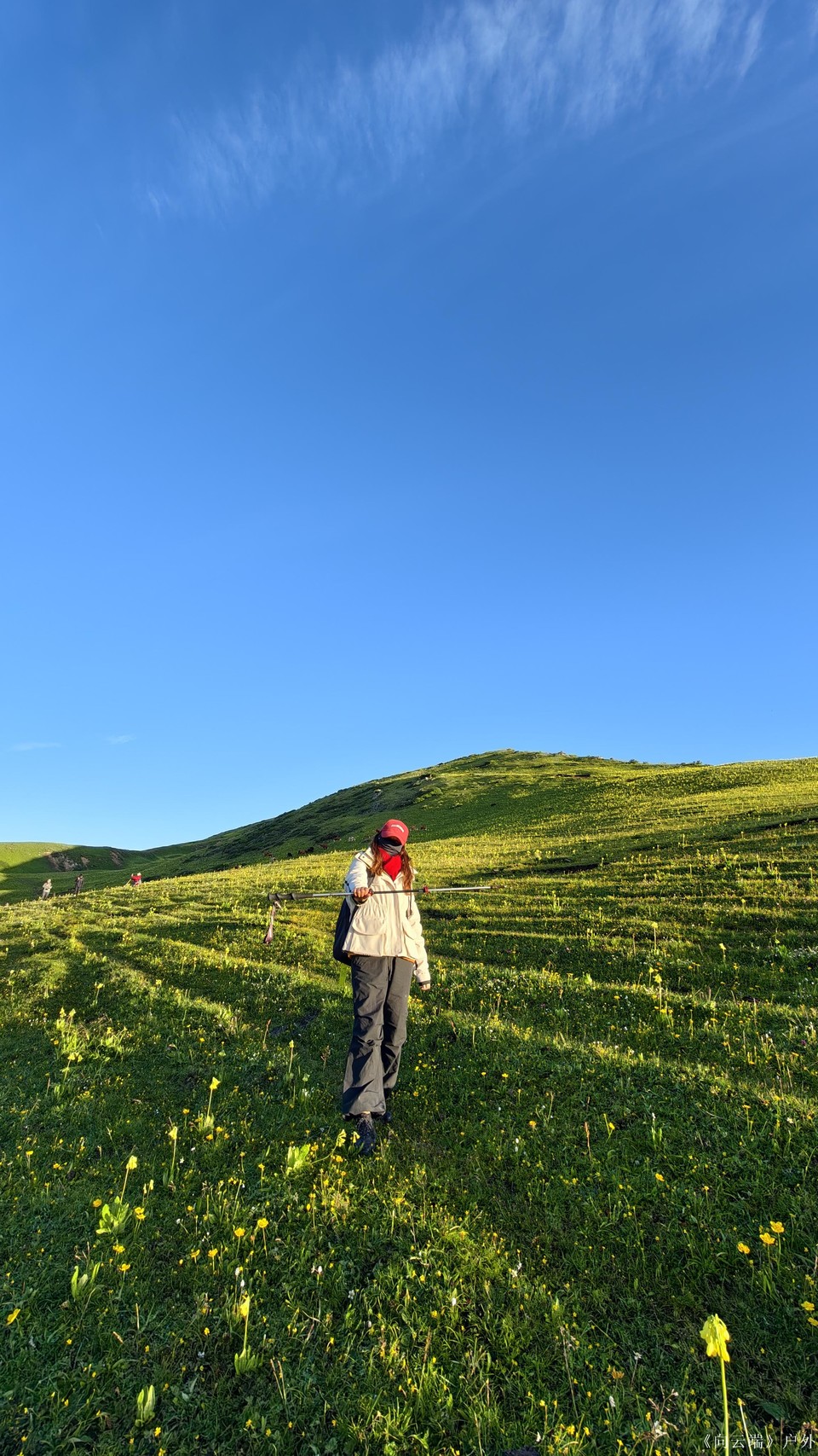 mmexport1752096179650