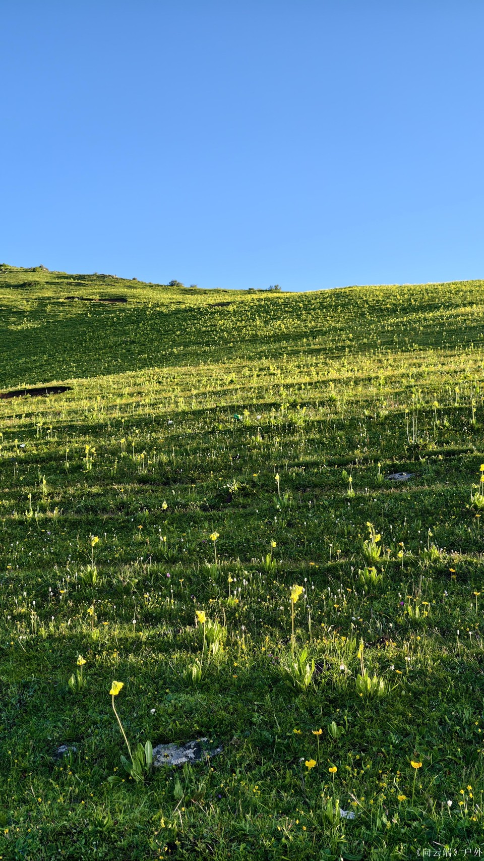 mmexport1752096197140