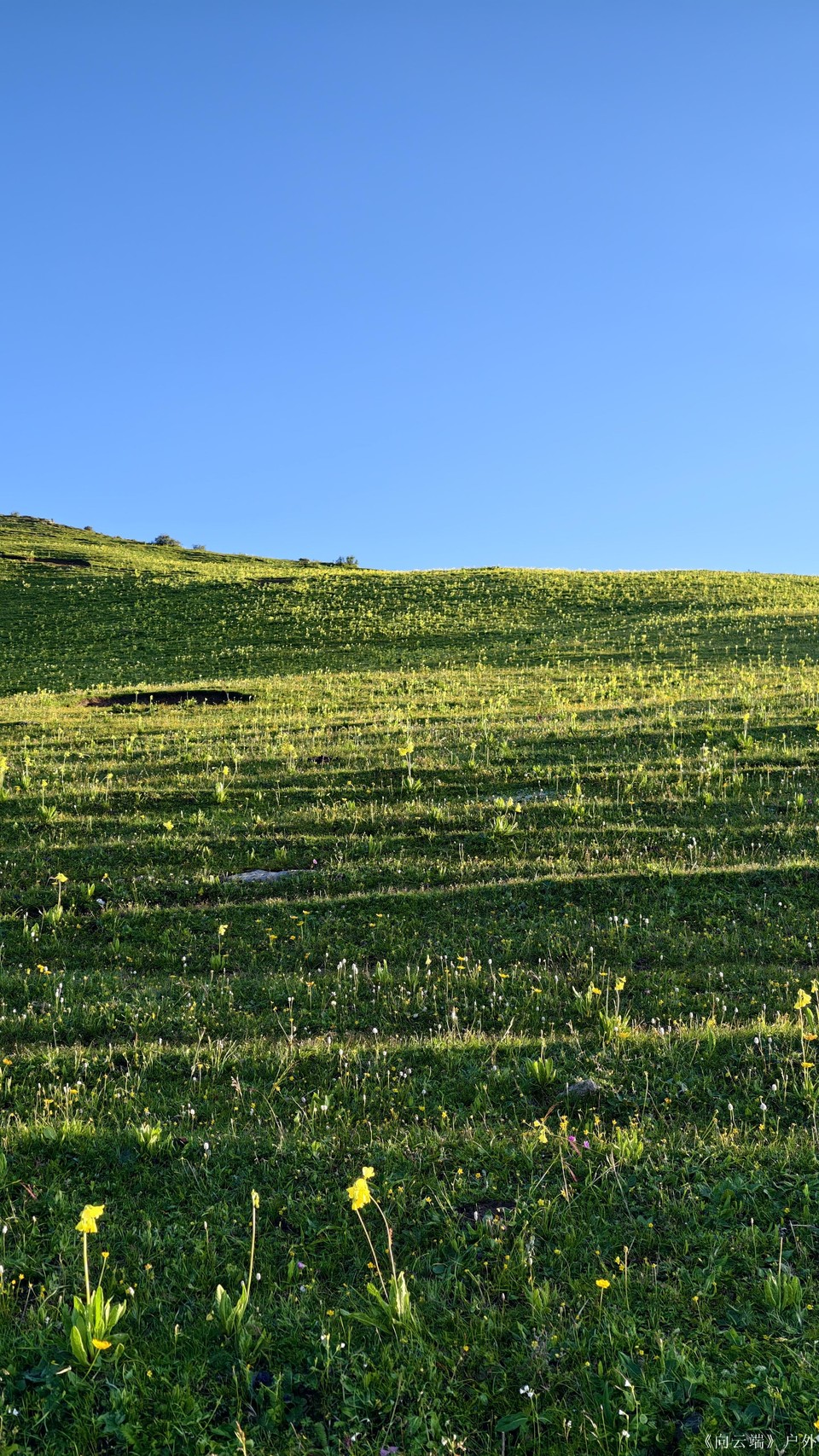 mmexport1752096225856