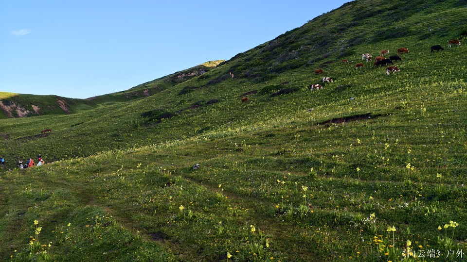 mmexport1752096233203