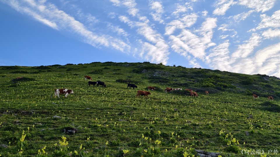 mmexport1752096247400