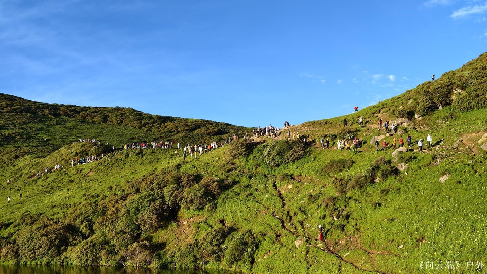 mmexport1752096308780