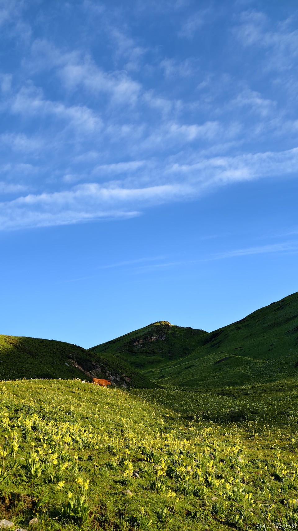 mmexport1752096394331