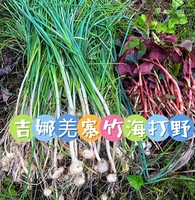 4月4号（周六）北川吉娜羌寨 采茶 挖折耳根 野葱 农家菜一日游