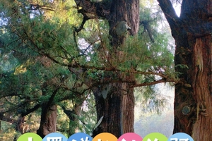 4月26号（周日）广元金牛古道 柳池沟驿—拦马墙 徒步一日游