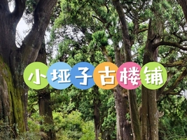 6月7日（周日）广元古蜀道网红线路（小垭子-鼓楼铺-断碑梁）