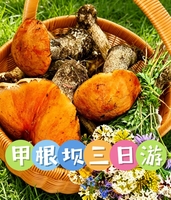 8月2日-8月4日（周日周一周二）川西秘境 观贡嘎雪山 甲根坝捡菌子三日游 精品团