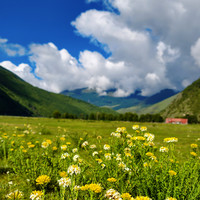 8月5日-8月6日（周三周四）川西秘境甲根坝 捡菌子两日游