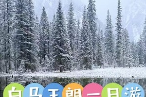12月7日（周日）平武白马王朗玩雪 （小巴车走高速）