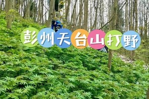 3月4日（周三） 彭州天台山徒步打野一日游