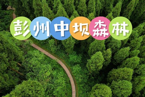 11月30日（周日） 彭州中坝森林徒步活动