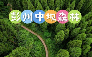 6月14日（周日） 彭州中坝森林 海窝子古镇 一日游