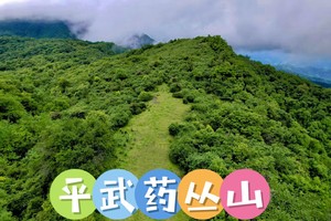 4月4日（周六） 平武药丛山徒步打野一日游