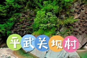 4月26日（周日）平武关坝 徒步 打鹿耳韭 农家饭 一日游（精品小团）