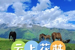 1月17日（周六）巴郎山云上花林徒步活动