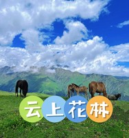 1月17日（周六）巴郎山云上花林徒步活动