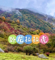 11月30日（周日） 卧龙拉拉虎徒步活动