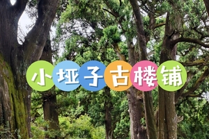 12月4日（周四）广元古蜀道新线首发（小垭子-鼓楼铺）