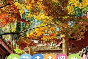 1月18日（周日）彭州法藏寺 老鹰岩徒步一日游