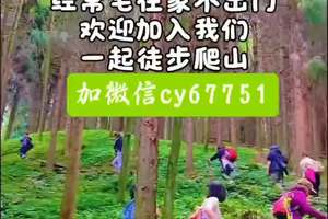 喜欢撒野的朋友一起来