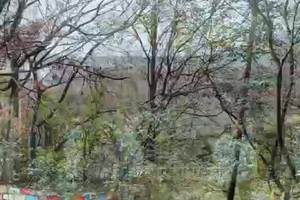 三味禅林穿丹景山