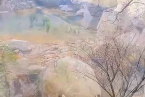 林家坝穿平武梅林