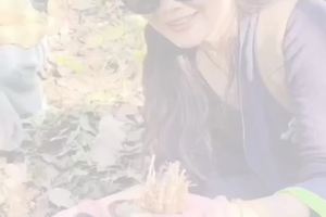 药王谷前山打野