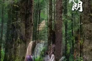 20250817白马王朗