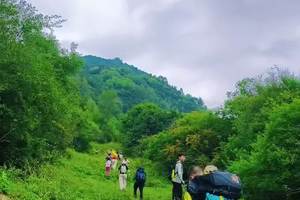 20250804平武白马牧场